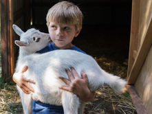 The Benefits of Buying Sustainable Cashmere: Why is it important for Your Customers to Understand?