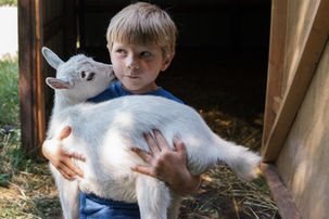 G.O.A.T.'s Milk Formula - You herd that! Why goat's milk based formula may not be a baaad choice! <3