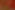 Red Maple Leaves