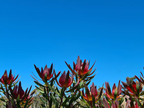 21년 9월 25일 (욥기 12:13)