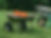 Wheelbarrow