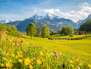 Green landscape with mountains in the background