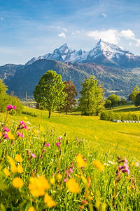 Grüne Landschaft mit Bergen im Hintergrund