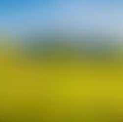 Why Outdoors Is Good For You