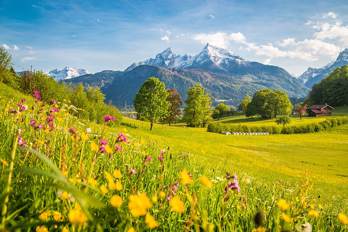 Green landscape with mountains in the background