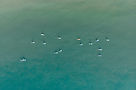 Paddleboarders on Water