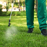 A professional performing pest control in a garden