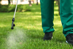 Pest Control
