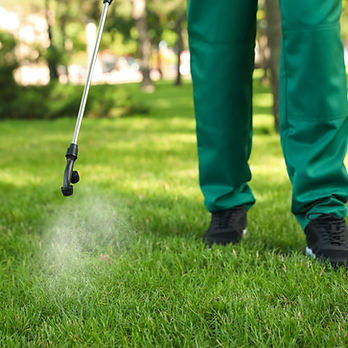 Spraying Lawn Treatment