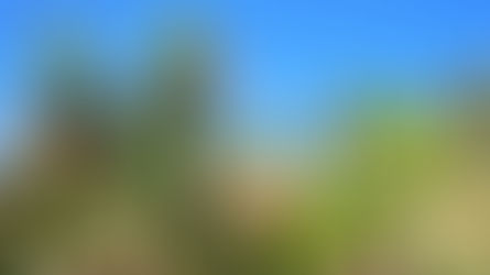 アリゾナ州では制限解除