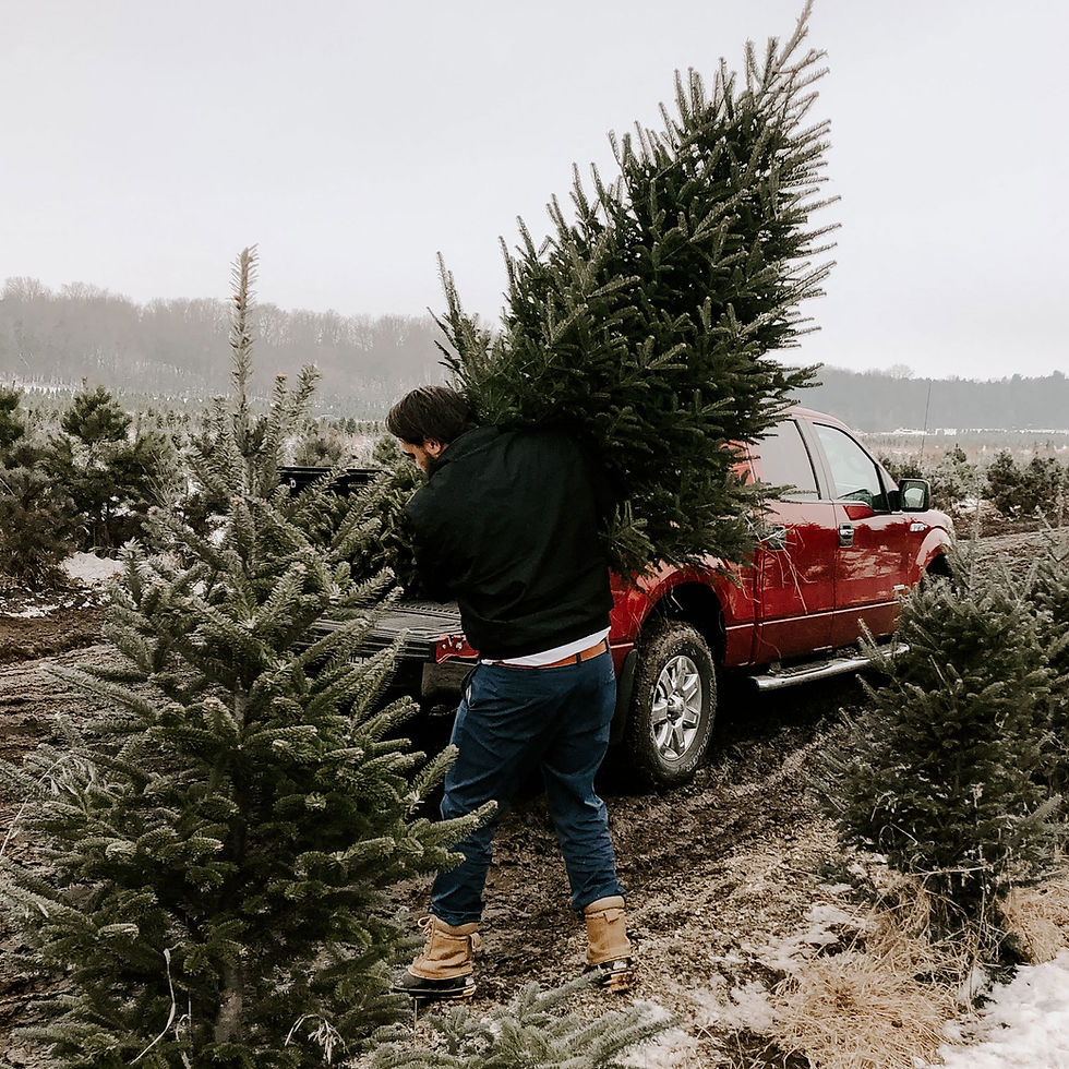 Loading Christmas Tree