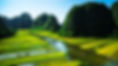 Rice fields in Tam Coc, Ninh Binh, Vietnam