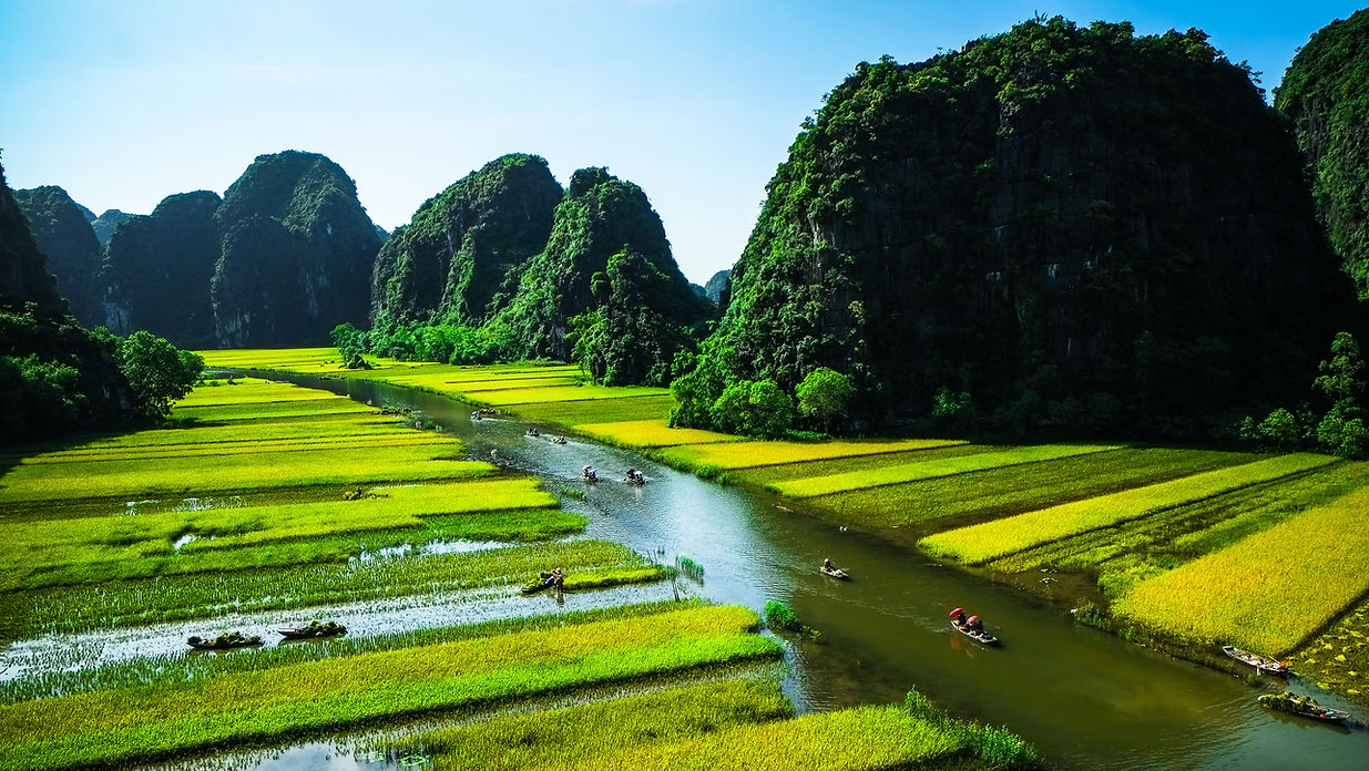 Những cánh đồng lúa tại Tam Cốc, Ninh Bình, Việt Nam