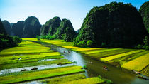 Scenic rice fields in China, offering a glimpse of Pacific and Asian beauty with expert trip planning