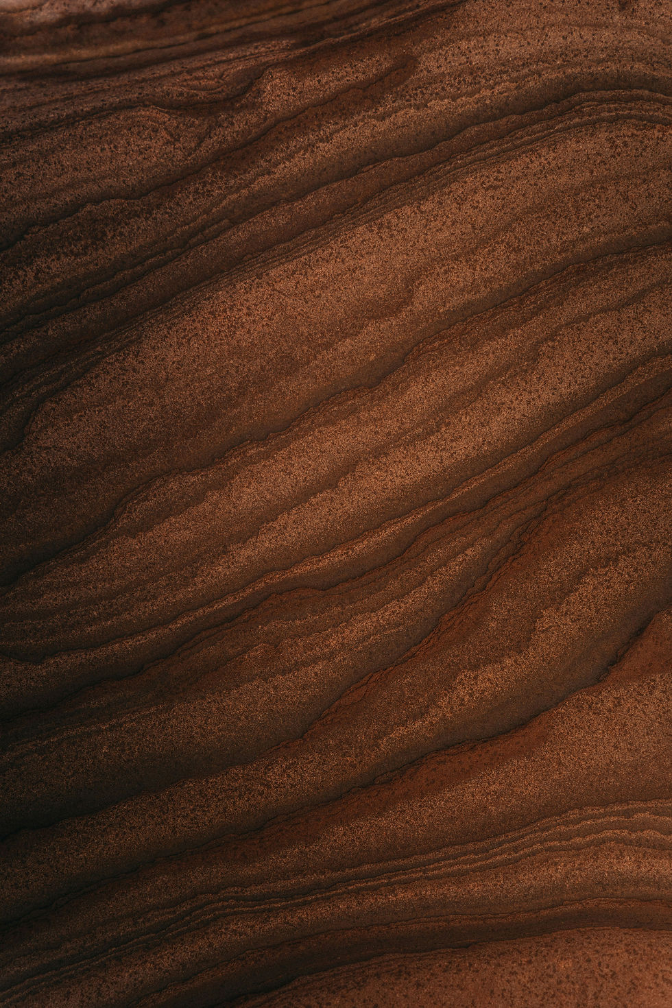 Brown Textured Surface