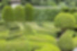 Manicured Garden