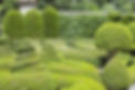 Manicured Garden