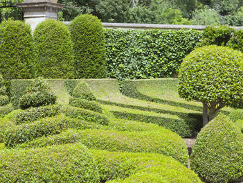 Manicured Garden