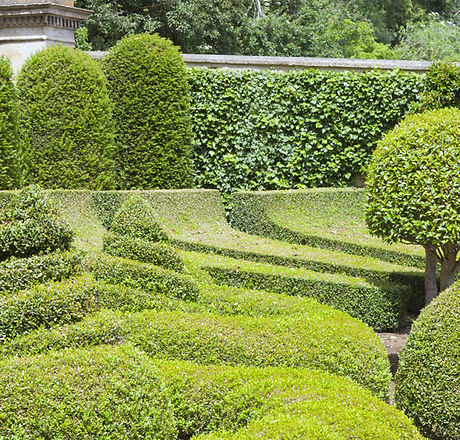 Manicured Garden
