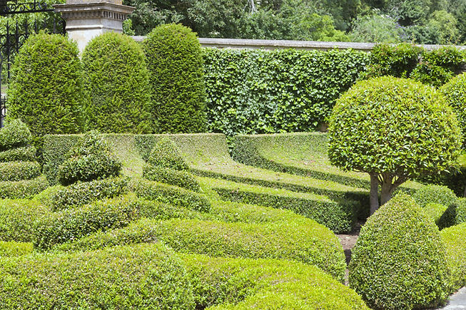 Manicured Garden