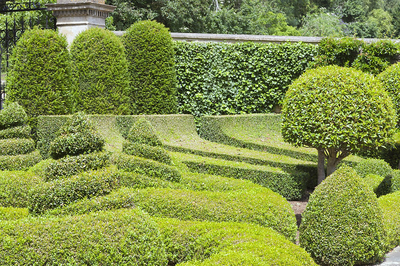 Manicured Garden