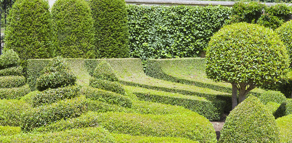 Manicured Garden