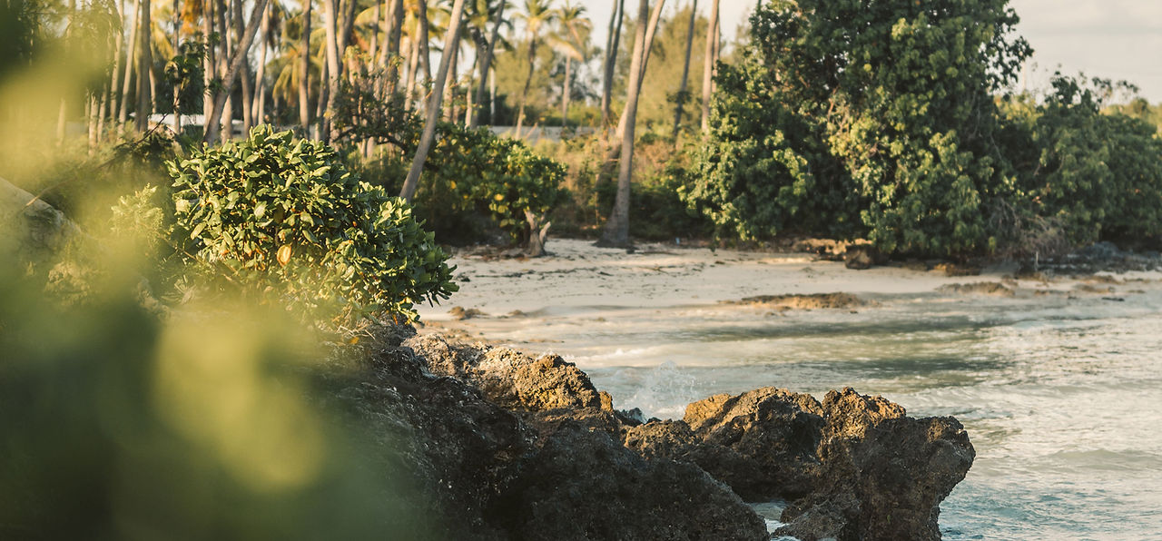 Tropical Island