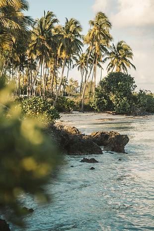 Tropical Island