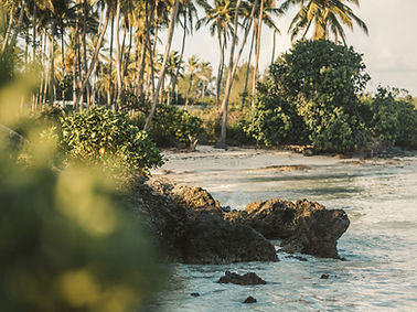 Tropical Island