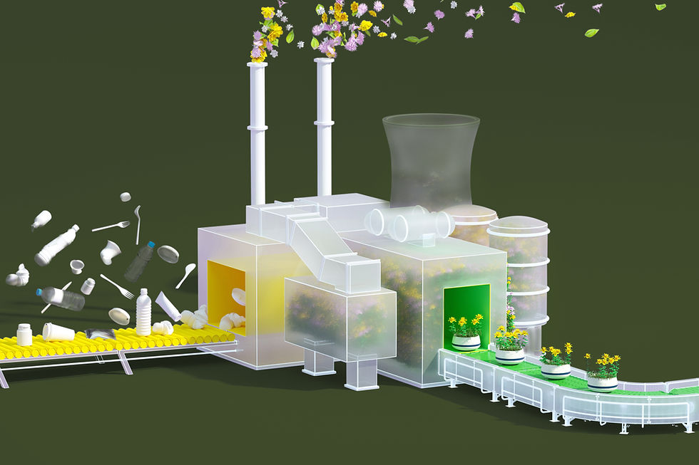recyclage débarras