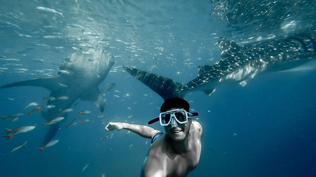 Selfie with Sharks