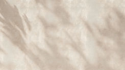 Abstract Beige Texture