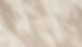 Abstract Beige Texture