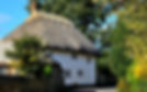 Thatched house