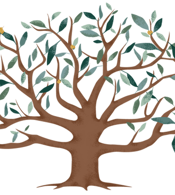 Big Tree