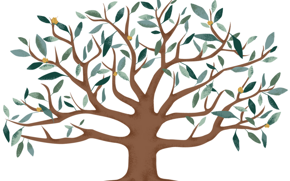 Big Tree