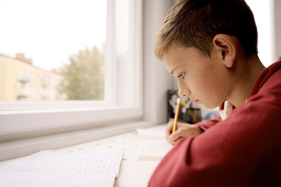 Boy Writing Homework