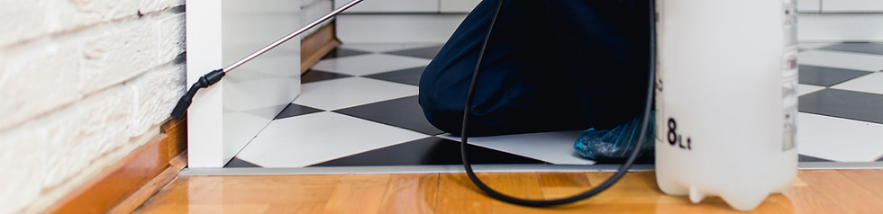 害虫駆除サービス