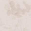 Muted Botanical Pattern