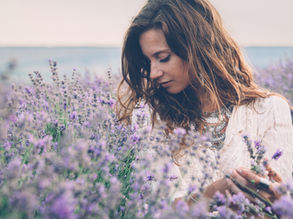 The Benefits of Lavender Essential Oil