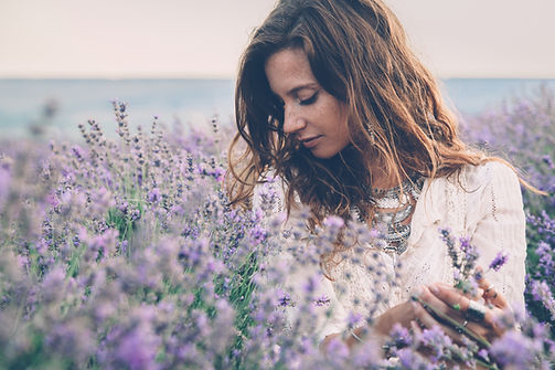 In a Lavender Field