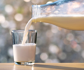Glass of Milk