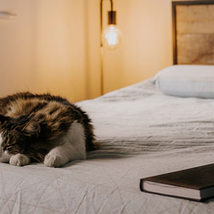 Staying Motivated in the Second Semester