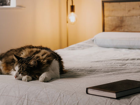 Solo Travel Journaling for Grief: 30 Healing Prompts to Support Your Journey