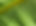 Green Leaf Closeup