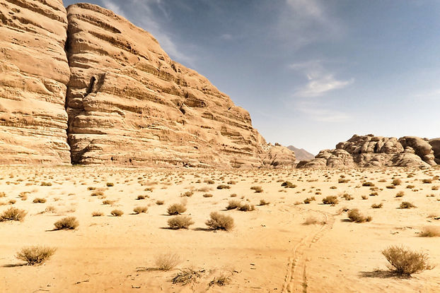 Dry Desert