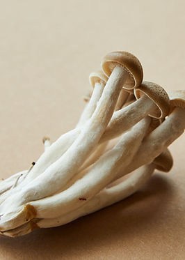 Enoki Mushroom