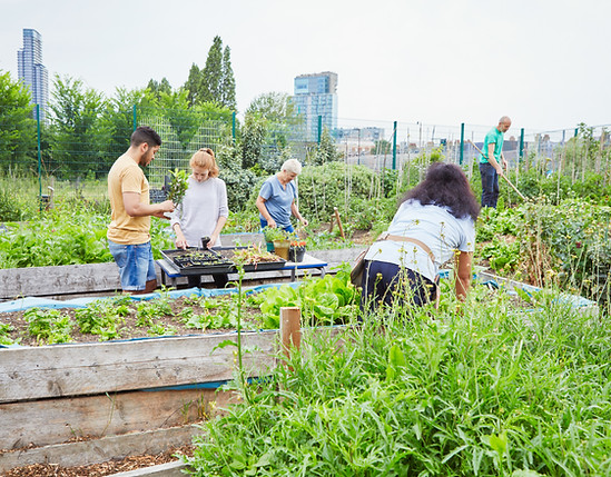 Community Garden 