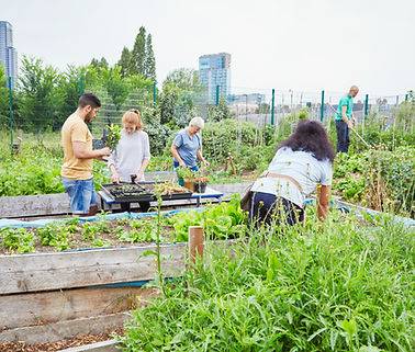 Community Garden