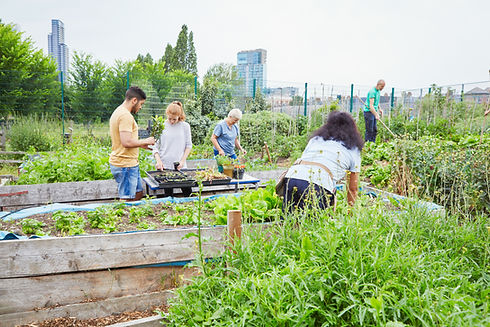 Community Garden